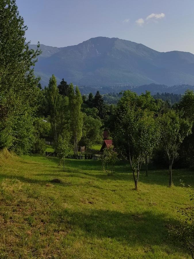Casa Danci Centru Villa Borşa Exterior foto