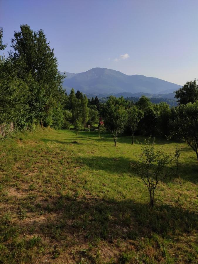 Casa Danci Centru Villa Borşa Exterior foto