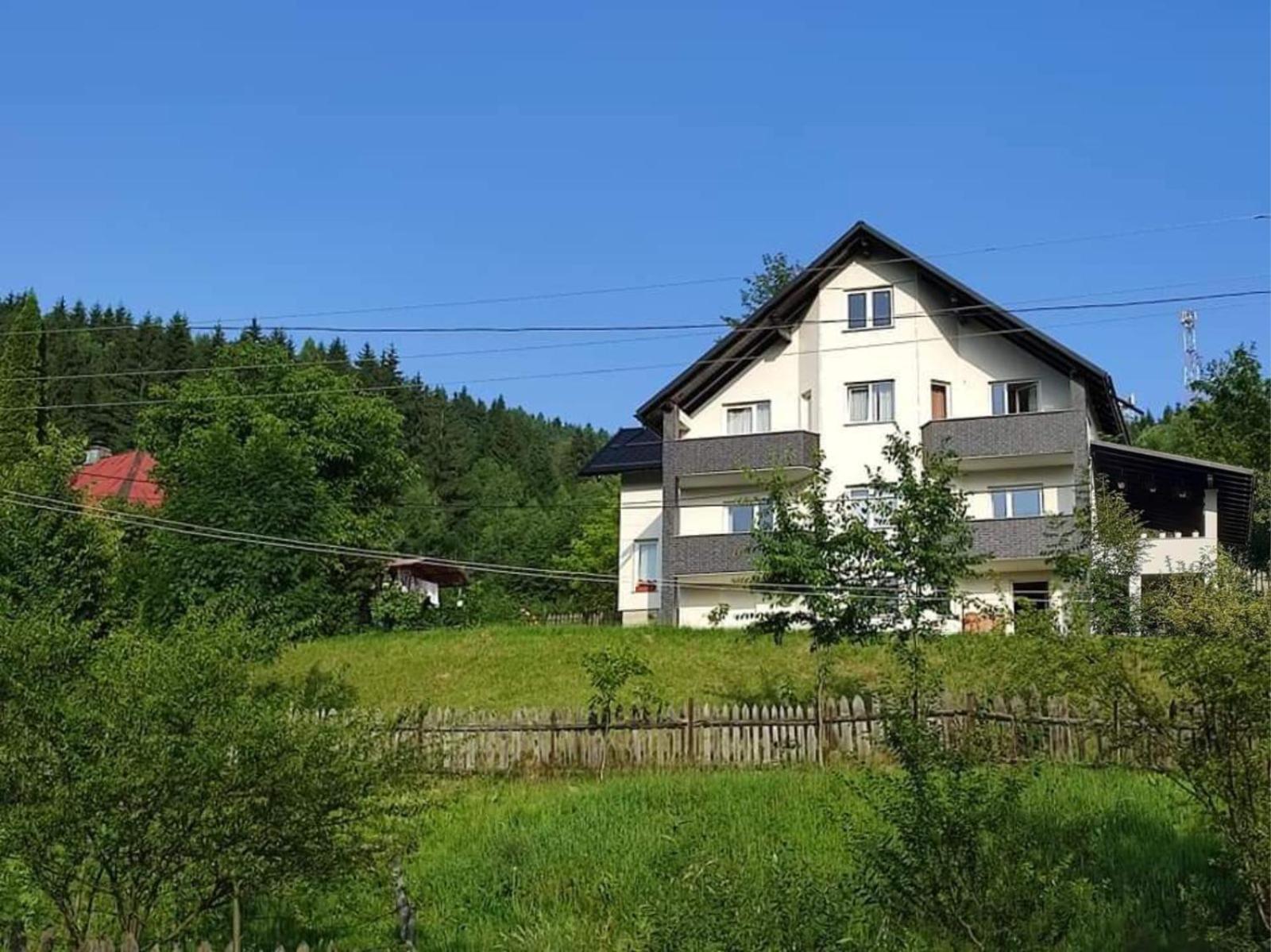 Casa Danci Centru Villa Borşa Exterior foto